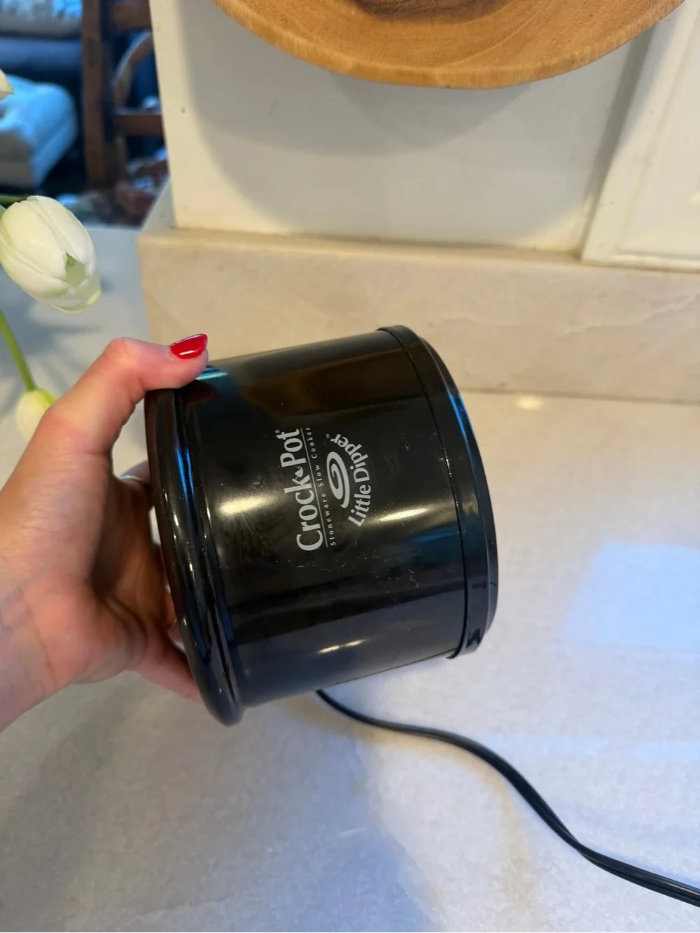 Crok pot little dipper